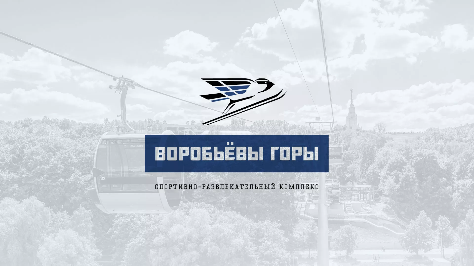 Разработка сайта в Тейково для спортивно-развлекательного комплекса «Воробьёвы горы»