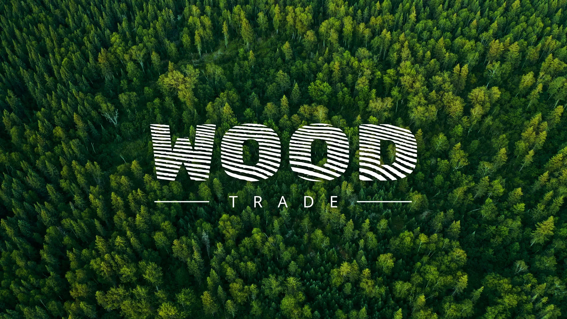 Разработка интернет-магазина компании «Wood Trade» в Тейково