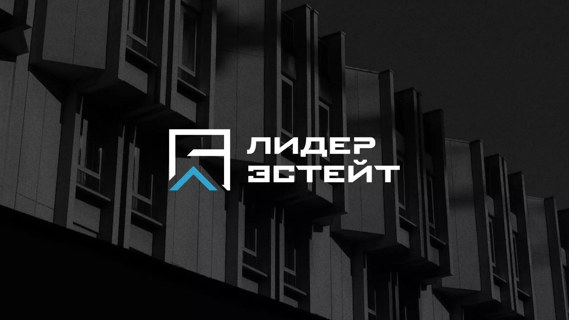 Разработка логотипа агентства недвижимости «Лидер Эстейт» в Тейково